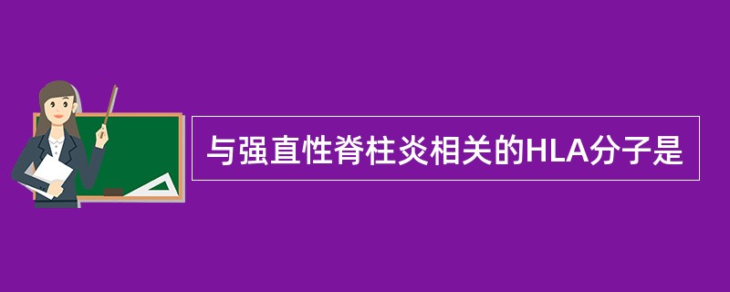 与强直性脊柱炎相关的HLA分子是