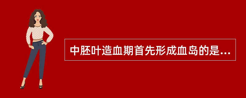 中胚叶造血期首先形成血岛的是以下哪个组织A、骨髓B、胸腺C、卵黄囊D、肝E、脾