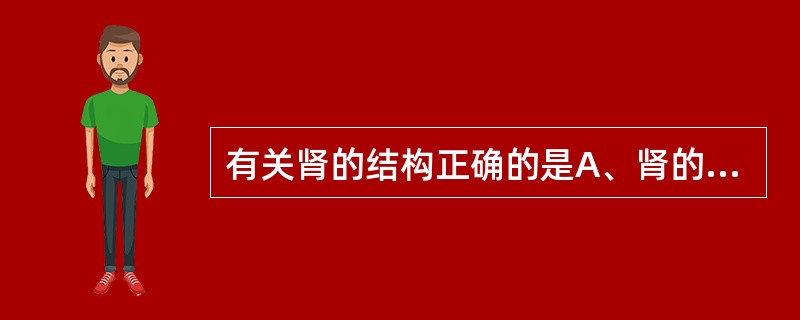 有关肾的结构正确的是A、肾的实质分为皮质和髓质B、肾实质血管较少,呈淡红色C、肾