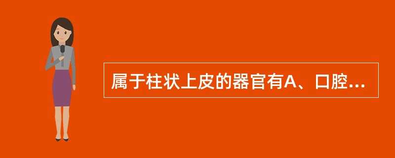 属于柱状上皮的器官有A、口腔B、鼻腔C、食管D、支气管E、子宫颈管