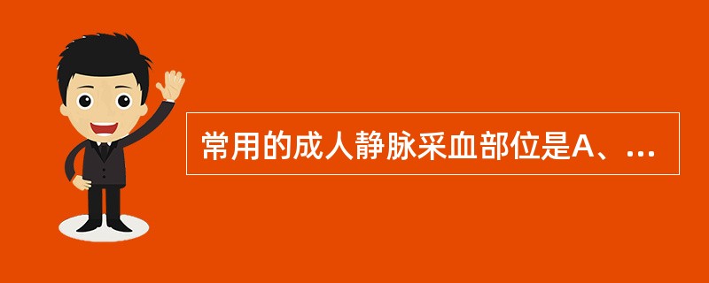 常用的成人静脉采血部位是A、手背静脉B、肘部静脉C、颈外静脉D、内踝静脉E、股静