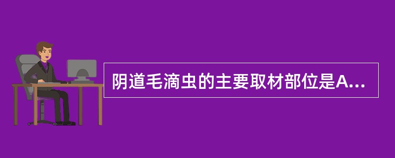 阴道毛滴虫的主要取材部位是A、阴道口B、子宫颈C、阴道后穹隆D、阴道前穹隆E、尿