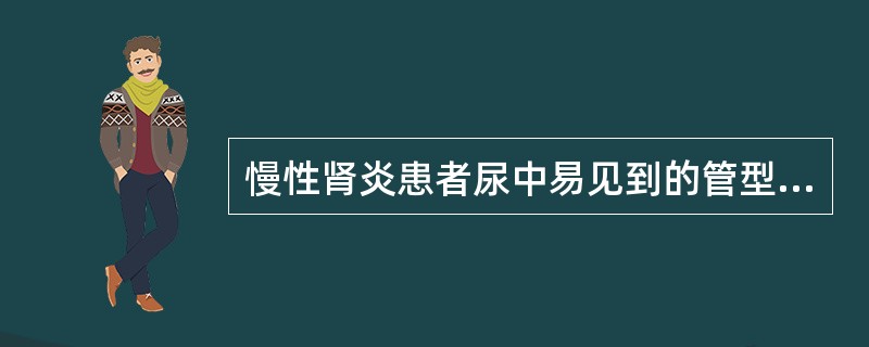 慢性肾炎患者尿中易见到的管型是A、红细胞管型B、白细胞管型C、颗粒管型D、蜡样管