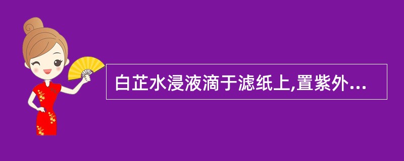 白芷水浸液滴于滤纸上,置紫外光灯下显( )。