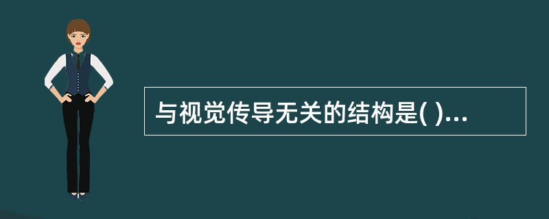 与视觉传导无关的结构是( )。A、视辐射B、视交叉C、内侧膝状体D、视束E、外侧