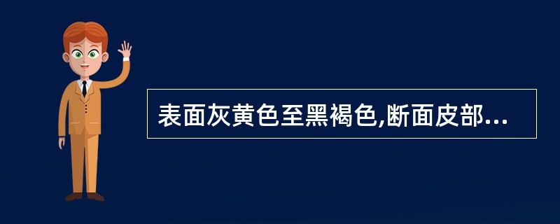 表面灰黄色至黑褐色,断面皮部散有棕黄色小油点,形成层环棕色,气芳香的中药材是(