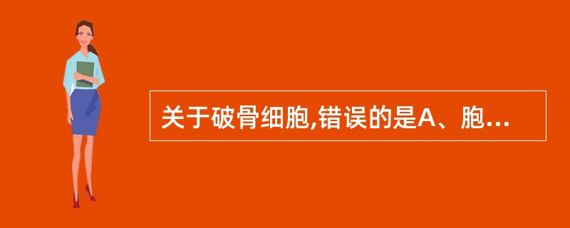 关于破骨细胞,错误的是A、胞体大,直径约60~100μmB、胞核数常较多,1~1