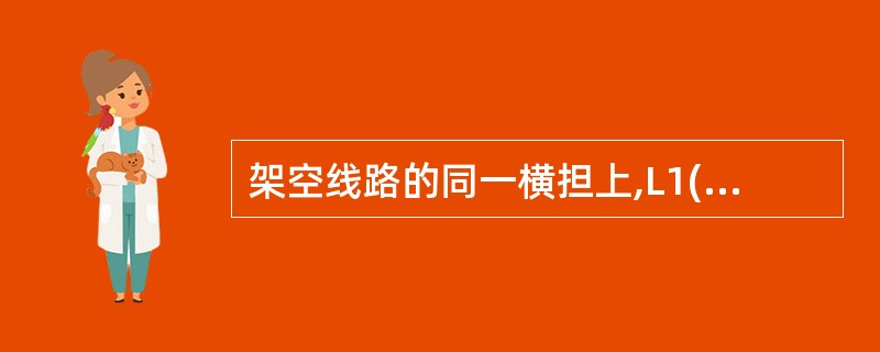 架空线路的同一横担上,L1()、L2()、L3()、N、PE五条线的排列次序是面 架空线路的同一横担上,L1()、L2()、L3()、N、PE五条线的排列次序是面