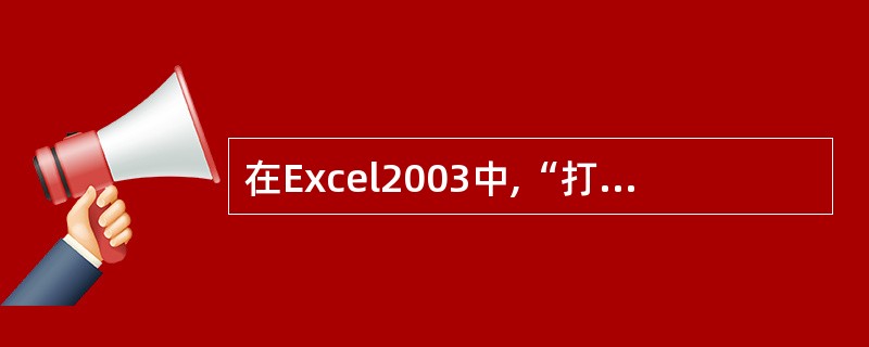 在Excel2003中,“打印预览”在()菜单。