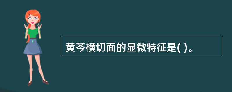 黄芩横切面的显微特征是( )。