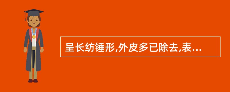 呈长纺锤形,外皮多已除去,表面黄白色至淡棕色,半透明,对光透视可见一细木心的中药