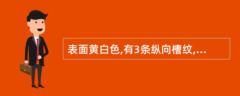 表面黄白色,有3条纵向槽纹,柱基和果柄处均具毛茸的中药材是( )。