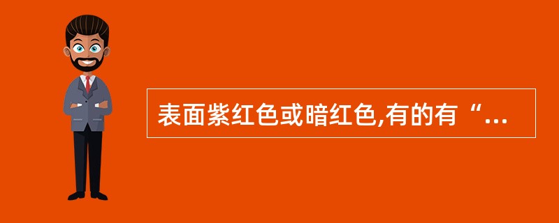 表面紫红色或暗红色,有的有“白霜”,皱缩的中药材是( )。