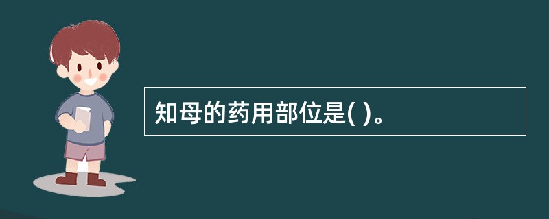 知母的药用部位是( )。