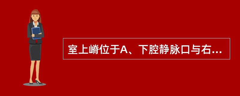 室上嵴位于A、下腔静脉口与右心房室口之间B、右心房室口与肺动脉瓣口之间C、上腔静