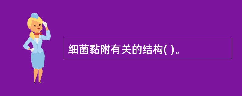 细菌黏附有关的结构( )。