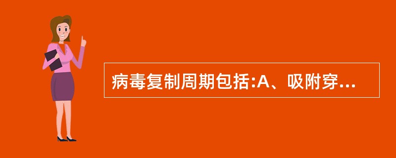 病毒复制周期包括:A、吸附穿入B、脱壳C、生物合成D、形成始体E、装配与释放 -