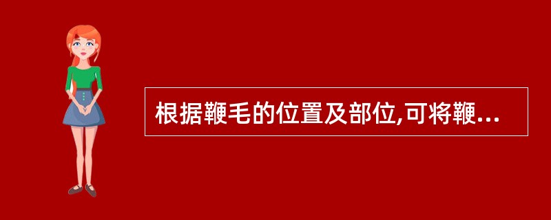 根据鞭毛的位置及部位,可将鞭毛菌分成A、二类B、三类C、四类D、五类E、六类 -