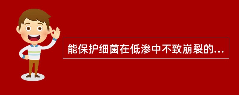 能保护细菌在低渗中不致崩裂的结构是A、细胞膜B、细胞质C、核质D、细胞壁E、荚膜