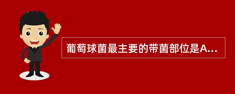 葡萄球菌最主要的带菌部位是A、皮肤B、咽喉C、肠道D、鼻腔E、环境