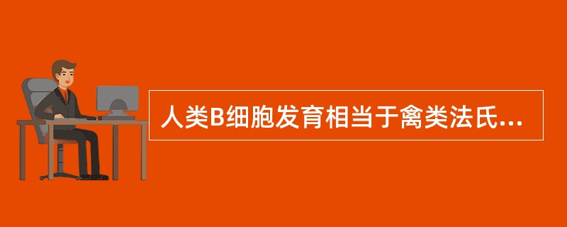 人类B细胞发育相当于禽类法氏囊的器官是A、脾B、骨髓C、胸腺D、淋巴结E、扁桃体