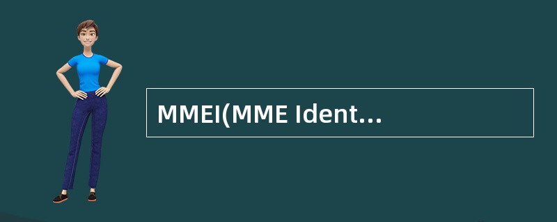 MMEI(MME Identity)由MMEGI和()组成。