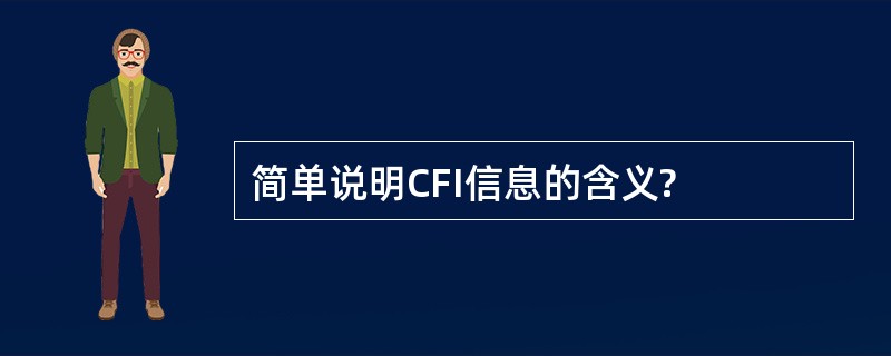 简单说明CFI信息的含义?