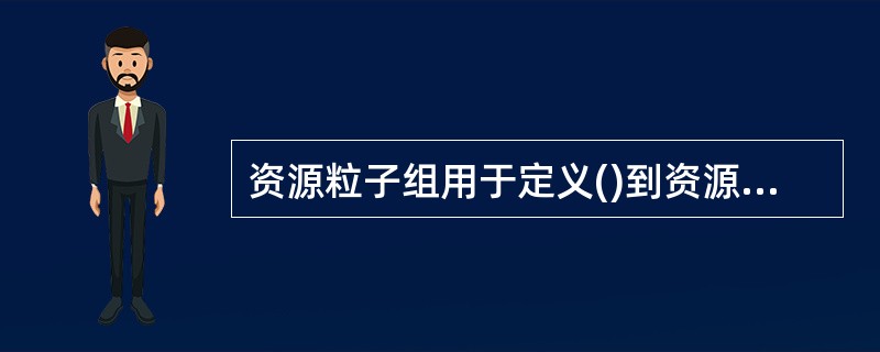 资源粒子组用于定义()到资源粒子的映射。