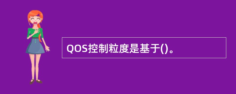 QOS控制粒度是基于()。