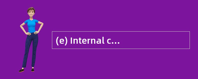 (e) Internal controls are very important