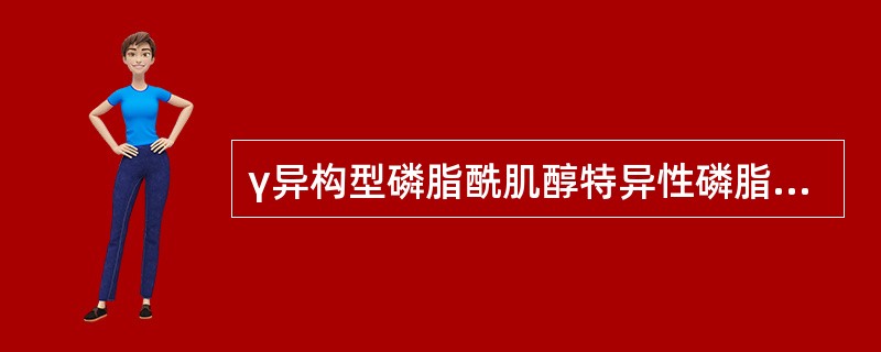 γ异构型磷脂酰肌醇特异性磷脂酶C活化后,催化PIP产生的物质包括 ( )A、LT