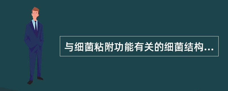 与细菌粘附功能有关的细菌结构是A、菌毛B、荚膜C、中介体D、胞浆膜E、细胞膜 -