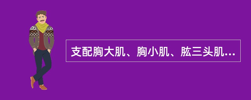 支配胸大肌、胸小肌、肱三头肌和拇指对掌肌的脊神经是