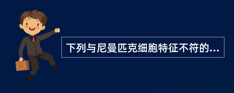 下列与尼曼匹克细胞特征不符的是A、胞体巨大,胞核小,常偏位B、ACP染色为强阳性