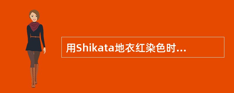 用Shikata地衣红染色时HBsAg呈A、绿色B、紫色C、棕色D、蓝色E、黄色