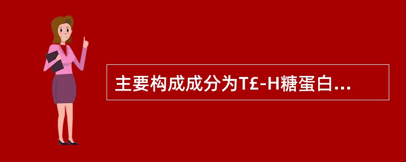 主要构成成分为T£­H糖蛋白的是A、透明管型B、白细胞管型C、细颗粒管型D、蜡样