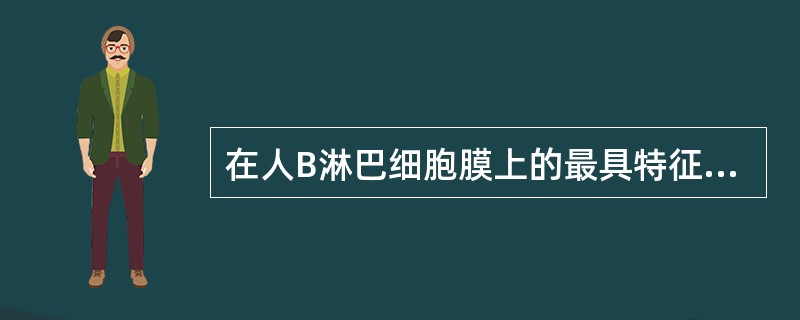 在人B淋巴细胞膜上的最具特征性的受体是A、有丝分裂原受体B、SRBC受体C、Ig