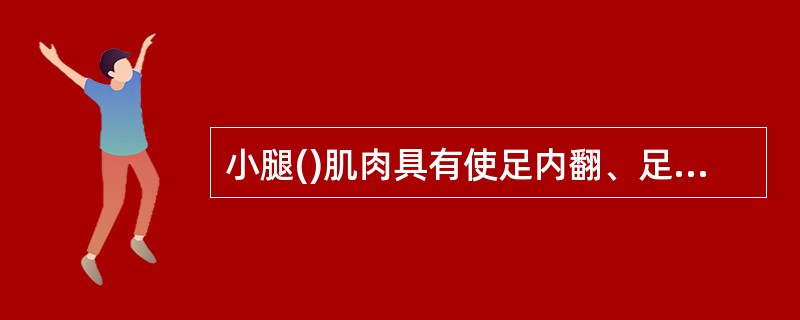 小腿()肌肉具有使足内翻、足外翻的作用A、内侧B、外侧C、前群D、后群