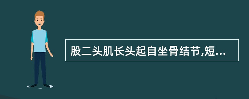 股二头肌长头起自坐骨结节,短头起自股肌粗线,两头合并,止于腓骨头。()