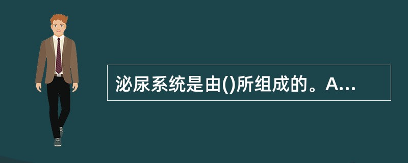 泌尿系统是由()所组成的。A、肾、肾小管、膀胱、尿道B、肾、输尿管、膀胱、尿道C