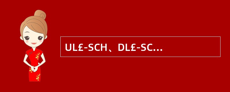 UL£­SCH、DL£­SCH采用『____』信道编码方式及编码速率为『____