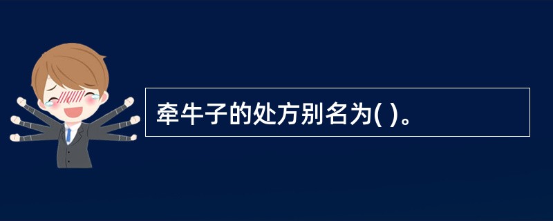 牵牛子的处方别名为( )。