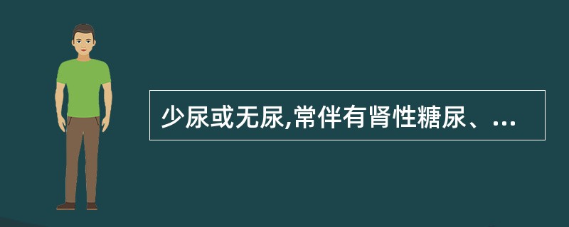 少尿或无尿,常伴有肾性糖尿、低渗尿等( )