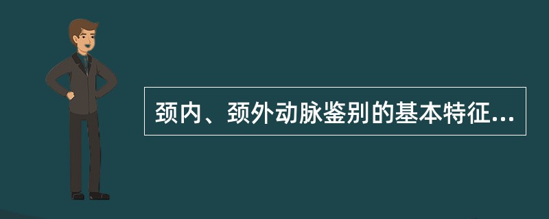 颈内、颈外动脉鉴别的基本特征有A、颈外动脉可观察到多个分支,而颈内动脉无分支B、