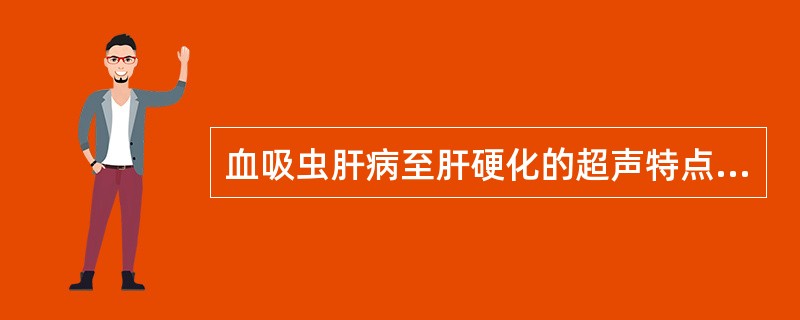 血吸虫肝病至肝硬化的超声特点是A、右叶缩小,左叶增大B、肝实质回声光点粗大,分布