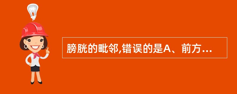 膀胱的毗邻,错误的是A、前方为耻骨联合B、女性,其后方与子宫相邻C、男性,其后方