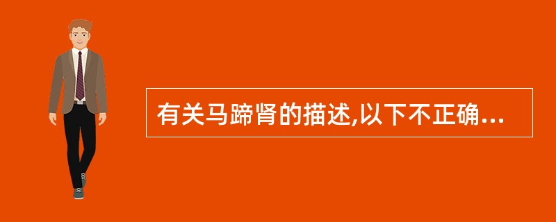 有关马蹄肾的描述,以下不正确的说法是A、马蹄肾融合部位回声以肾窦结构为主B、马蹄