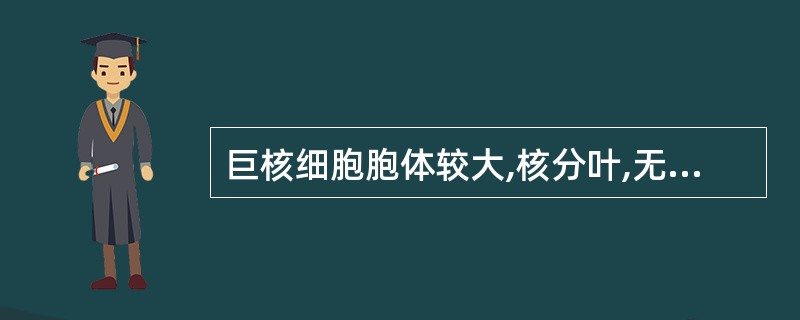 巨核细胞胞体较大,核分叶,无核仁,浆内充满紫红色颗粒,周边无血小板形成,符合下列