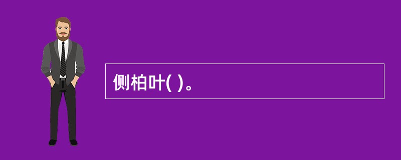 侧柏叶( )。