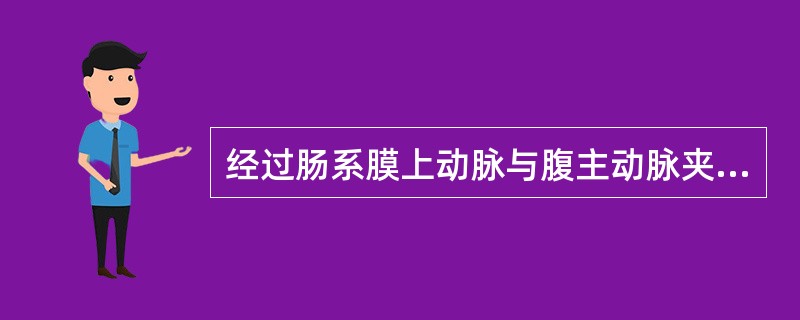 经过肠系膜上动脉与腹主动脉夹角间的结构有A、左肾静脉B、左肾动脉C、脾静脉D、十